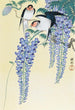 Hirondelles et glycine - Ohara Koson — Ansicht des Kunstwerks