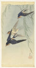 Drei Vögel im Flug - Ohara Koson — Ansicht des Kunstwerks