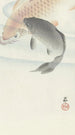 Zwei Karpfen - Ohara Koson — Ansicht des Kunstwerks