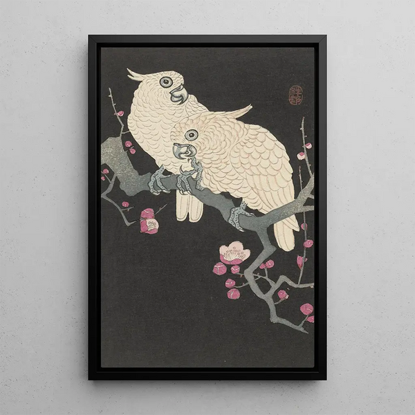 Zwei Kakadus und Pflaumenblüten - Ohara Koson — gerahmtes Bild an der Wand