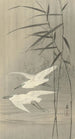 Zwei Reiher im Flug - Ohara Koson — Ansicht des Kunstwerks