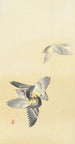 Zwei kämpfende Vögel - Ohara Koson — Ansicht des Kunstwerks