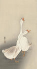 Zwei Gänse - Ohara Koson — Ansicht des Kunstwerks