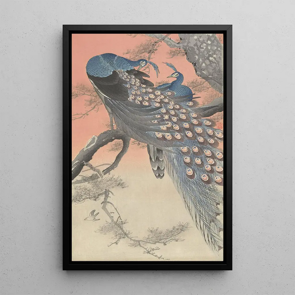 Zwei Pfauen auf einem Baumast - Ohara Koson — gerahmtes Bild an der Wand