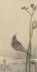Wasserträller - Ohara Koson — Ansicht des Kunstwerks