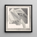 Abstraktes Vogel - Samuel Jessurun de Mesquita — gerahmtes Bild an der Wand