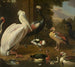 Wasservögel Melchior de Hondecoeter - Melchior d'Hondecoeter — Ansicht des Kunstwerks