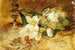 Schwarzer Hellebore - Olga Wisinger-Florian — Ansicht des Kunstwerks