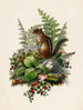 Tamia - Olive E. Whitney — Ansicht des Kunstwerks