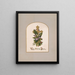 E. Kreuz im Prangs-Teppich Nr. 12 - Olive E. Whitney — gerahmtes Bild an der Wand