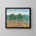 Reproduktion des Gemäldes Olivenhain - Vincent Van Gogh