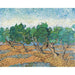 Reproduktion des Gemäldes Olivenhain - Vincent Van Gogh