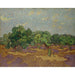 Reproduktion des Gemäldes Olivenbäume - Vincent van Gogh