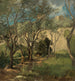 Olivenbäume bei Genua - Gustav Schnäleber — Ansicht des Kunstwerks