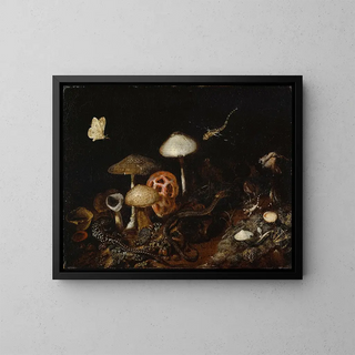 Otto Marseus van Schrieck - Reptiles Mushrooms and Butterflies.webp