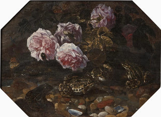 Frösche, wilde Rosen, Muscheln und Schmetterlinge - Paolo Porpora — Ansicht des Kunstwerks