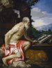 Saint Jérôme dans le désert - Paolo Véronèse — Ansicht des Kunstwerks