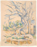 Pistazienbaum am Château Noir - Paul Cézanne — Ansicht des Kunstwerks
