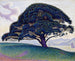 Der Kiefernbaum von Bonaventure - Paul Signac — Ansicht des Kunstwerks