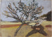 Mann liegend unter einem blühenden Baum - Paula Modersohn-Becker — Ansicht des Kunstwerks