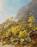 Primula auricula Primel - Pauline Halm Flechner — Ansicht des Kunstwerks