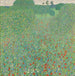 Mohnblumen in Blüte Mohnwiese - Gustav Klimt — Ansicht des Kunstwerks