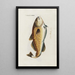 Icones rerum naturalium ou figures enluminées d'histoire naturelle du nord Pl27 - Peder Ascanius — gerahmtes Bild an der Wand