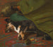 Pendant que les chiens dorment - John Emms — Ansicht des Kunstwerks