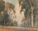 Eukalyptus - Percy Gray — Ansicht des Kunstwerks