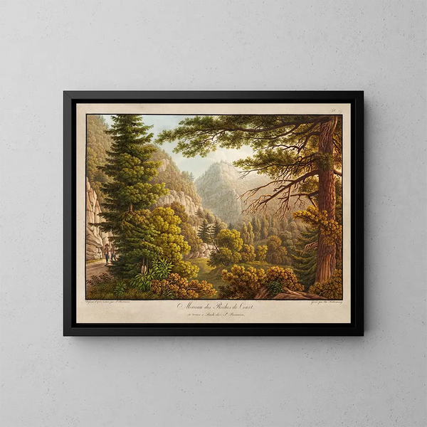 Morceau des roches de Court - Peter Birmann — gerahmtes Bild an der Wand