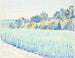 finnische Landschaft Weizenfeld bei einem Wald - Peter Hansen — Ansicht des Kunstwerks