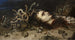 Tête de Méduse - Peter Paul Rubens — Ansicht des Kunstwerks