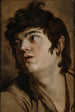 Kopf eines jungen Mannes - Peter Paul Rubens — Ansicht des Kunstwerks
