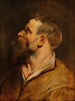 Tête d'homme barbu - Peter Paul Rubens — Ansicht des Kunstwerks