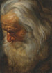 Studie eines alten bärtigen Mannes - Peter Paul Rubens — Ansicht des Kunstwerks