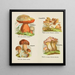 Petit atlas des champignons Pl 13 - Delachaux Niestle — gerahmtes Bild an der Wand