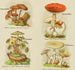 Kleines Atlas der Pilze Pl9 - Delachaux Niestlé — Ansicht des Kunstwerks