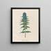 Gentiana asclepiadea - Petr Martynovich Gofman — gerahmtes Bild an der Wand
