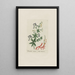 Garance des teinturiers - Petr Martynovich Gofman — gerahmtes Bild an der Wand