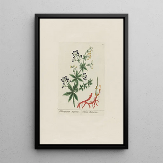 Petr Martynovich Gofman - Rubia Tinctorum.webp