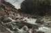 Bergbach-Gemälde, Otira-Schlucht - Petrus van der Velden — Ansicht des Kunstwerks