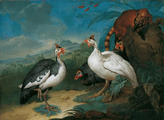 Philipp Ferdinand de Hamilton - Perlhhner Und Nasenbr.webp
