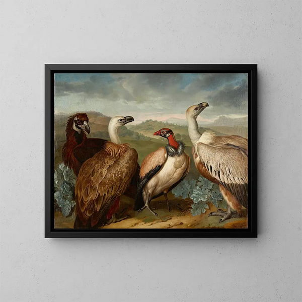 Vier Geier verschiedener Arten - Philipp Ferdinand de Hamilton — gerahmtes Bild an der Wand