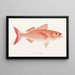 Fauna japonica Pl005 - Philipp Franz Balthasar von Siebold — gerahmtes Bild an der Wand