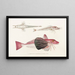 Fauna japonica Pl023 - Philipp Franz Balthasar von Siebold — gerahmtes Bild an der Wand