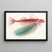 Fauna japonica Pl026 - Philipp Franz Balthasar von Siebold — gerahmtes Bild an der Wand