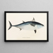 Fauna japonica Pl061 - Philipp Franz Balthasar von Siebold — gerahmtes Bild an der Wand