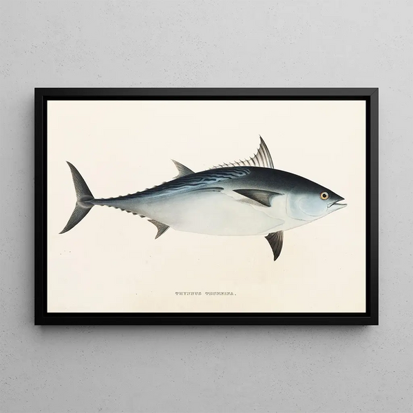 Fauna japonica Pl061 - Philipp Franz Balthasar von Siebold — gerahmtes Bild an der Wand