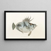 Faune japonaise Pl079 - Philipp Franz Balthasar von Siebold — gerahmtes Bild an der Wand