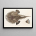 Faune japonaise Pl095 - Philipp Franz Balthasar von Siebold — gerahmtes Bild an der Wand